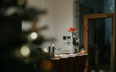 Vánoční provoz studia